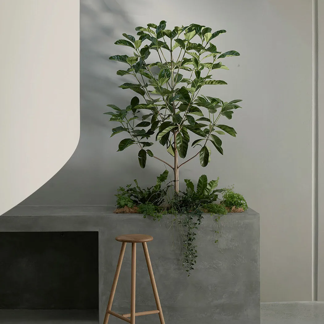Byron Work Hub